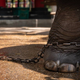 Imagen para el artículo titulado Un bebé elefante de un zoo en Tailandia muere días después de ser forzado a bailar para grupos de turistas